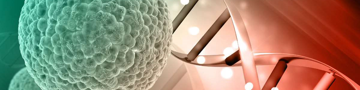 Formation Décodage Biologique des Maladies